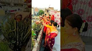 Pavitra rishta ✨💞❣️❤️🧿karwachauth viralvideo [upl. by Flory]