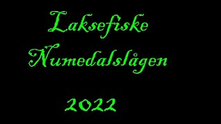 Laksefiske Numedalslågen 2022 [upl. by Yhtak]