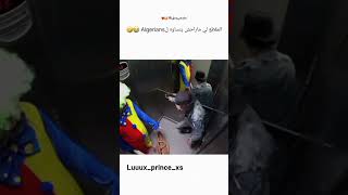 ضحك dz اكسبلور algeria funny algerie ترند algerien memes جزاءر الجزائر [upl. by Eybba]