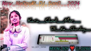 KariaChodiMorDilKeChuralaknagpurisong DjNagpuriSong20242024NewNagpuridj2023 [upl. by Bink]