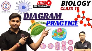 DIAGRAM PRACTICE  Class 10  Lec3 By Ashutosh Sir zenithguru biology [upl. by Zul]