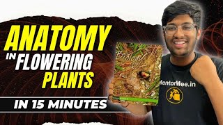 Anatomy in Flowering plants One shot  12 marks guaranteed  15 minutes [upl. by Brittney]