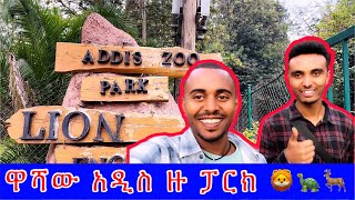 አድስ አበባ ውስጥ ማየት ያለባችሁ ፓርክ Addis Zoo Park Addis Ababa 🦁🦊🐢🦌 [upl. by Ardnic]