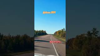 Autumn 2024Passing by Shediac NB Canada🍁shortvideo travel canada fall autumn shortsvideo [upl. by Aicyla]