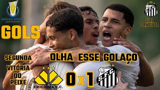 CRICIÚMA 0X1 SANTOS  GOLS  RODADA 3  BRASILEIRÃO DE ASPIRANTES SUB23 2024 [upl. by Alidia]