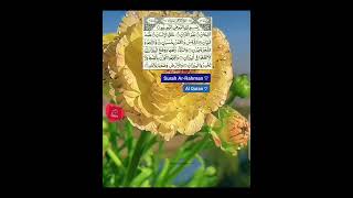 Surah ArRahman ♡  Al Quran ♡  The Straight path  صراط المستقيم [upl. by Penthea]