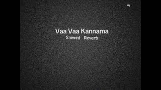 Vaa Vaa Kannama  slowed reverb [upl. by Whitnell]