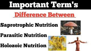 Nutrition Saprotrophic Nutrition  Parasitic Nutrition  Holozoic Nutrition  By Dadhich Sir [upl. by Connolly]