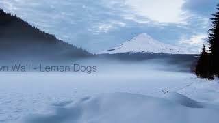 Dawn Wall  Lemon Dogs [upl. by Conlon]