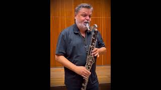 SUTERMEISTER Capriccio excerpt Corrado Giuffredi bass clarinet [upl. by Bledsoe]