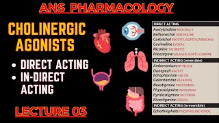 Cholinergic Agonists  Parasympathomimetic Drugs  Direct Acting amp indirect acting  L3 [upl. by Theobald]