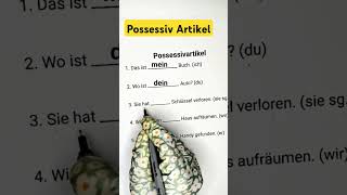 Possessiv Artikel  Learn German  German for beginners  B1 Deutsch [upl. by Lilly]