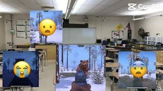 Carnivores ice age classroom studying be like [upl. by Henghold484]