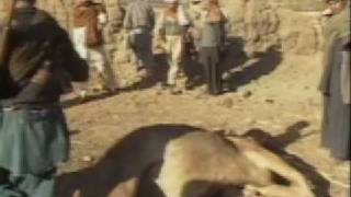 Afghanistan 1984 Scenes from a secret war pt 24 [upl. by Irt]