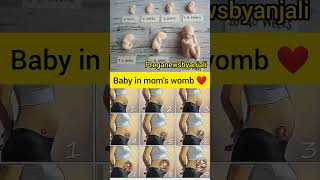 Baby in womb ❤️🤰 Embryonic Development in mother belly ❤️shortvideo pregnancy cutebaby [upl. by Otilrac]