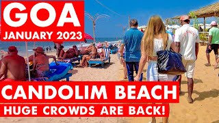 Goa  Candolim Beach  January  2023  Situation Update  New Shacks  Goa Vlog  North Goa [upl. by Glanti]