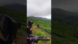 Koduva Karanam Estate PeermadeIdukkiKerala youtube koduva travel explore explorepage [upl. by Lleval]