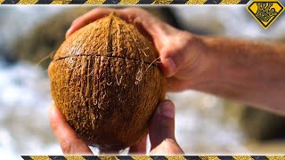 How To Open Coconuts Without Any Tools TKORs Easy Way Of Cracking Coconuts [upl. by Ree]