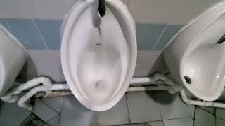 Balestier Point L1 Gents Toilets Full Shoot [upl. by Grondin]