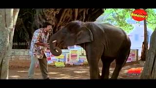 Pattabhishekam Malayalam Movie comedy scene Jayaram Harishree Ashokan [upl. by Thomson971]