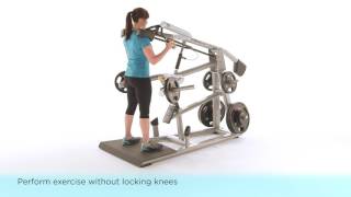 Precor Squat Machine Plate Loaded [upl. by Boyce]