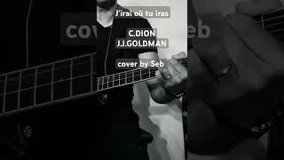 digitech vocalist live 3  Jirai où tu iras  CDION  JJGOLDMAN  cover by Seb [upl. by Goldshlag]