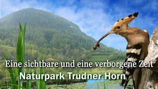 Naturpark Trudner Horn  geosfilm [upl. by Lorene]