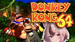 HE HAS NO STYLE HE HAS NO GRACE【Donkey Kong 64】 [upl. by Are86]