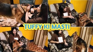 TUFFY Ki Masti Dogs love with owner Secret Signs your Dog Loves You  German shepherd Dog [upl. by Kuehn]