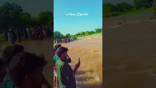 Shadiwal flood Flood Selab [upl. by Arratal125]