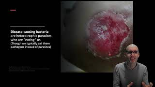 How do bacteria cause disease [upl. by Risteau]