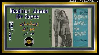 Loon Loon Rangeya Pyar De  Noor Jehan  Abr Kashmiri  Reshma Jawan Hogayi  1975  Vinyl  320k [upl. by Krik]