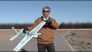 RCPowerscom Extra 300 FREE PDF  Landing Gliding Stalls and Spins [upl. by Eiblehs]