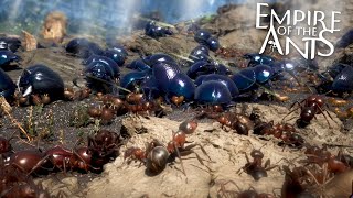 The Giant Beetles Clash  Empire of the Ants  Ep3 HD [upl. by Aiuqal]