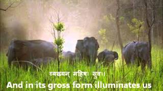 Full Bhu Suktam Vedic Hymn in Devanagari with English Translationswmv [upl. by Nawd743]