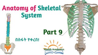 Anatomy of Skeletal System Sacrum Sternum amp Ribs Interesting Video with Amharic Speech Part 9 [upl. by Atauqal]