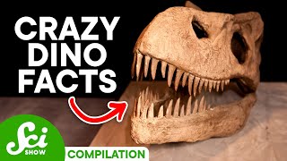 5 Cool Facts About Dinosaurs You Should Know [upl. by Krug400]