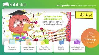 Bildentstehung auf der Netzhaut einfach erklärt – Biologie [upl. by Oleic]