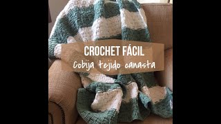 Cobija Tejido Canasta Crochet Facil y Rapido [upl. by Madelle]