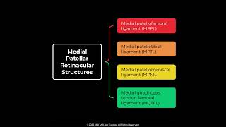 MPFL Medial Patellofemoral Ligament Anatomy MSKMRI JLEE [upl. by Llemij639]