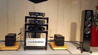 Dynaudio Evoke 50 and Electrocompaniet separates [upl. by Danita]