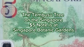 The Tembusu Tree on the Singapore 5 note is at Singapore Botanic Gardens [upl. by Clarhe]