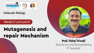 Lec 24 Mutagenesis and repair Mechanism [upl. by Perseus]