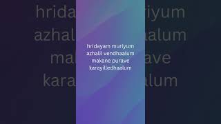 Hridayam muriyum vazha movie song [upl. by Nylleoj]