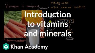 Introduction to vitamins and minerals  Biology foundations  High school biology  Khan Academy [upl. by Stirling]