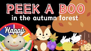 Baby Sensory【PEEK A BOO】High contrast animation with cute sounds【in the autumn forest】 [upl. by Anbul]