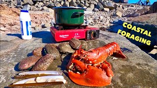 COASTAL FORAGING  Big Lobster  Razor Clams Abalone  Crabs amp Flatfish  Beach COOKING [upl. by Volding]