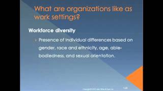 Introduction to Organizational Behavior Chapter 1 [upl. by Airdnua717]