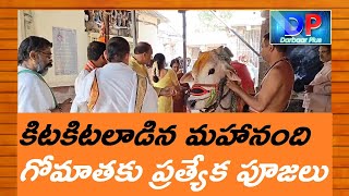 గోమాతకు పూజలు l మహానంది l DarbaarPlus l కార్తీకమాసం ప్రత్యేకం l Karteeka masam in Mahanandi [upl. by Abbottson]