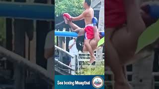 Sea boxing Muaythai  try not to laugh short clips funny [upl. by Barnebas772]